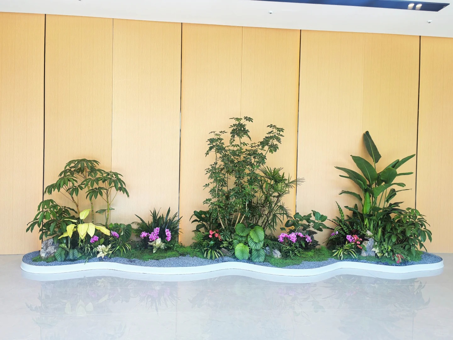 余姚植物租摆专业,让你的生活满是盎然绿意!